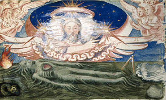 plate 8